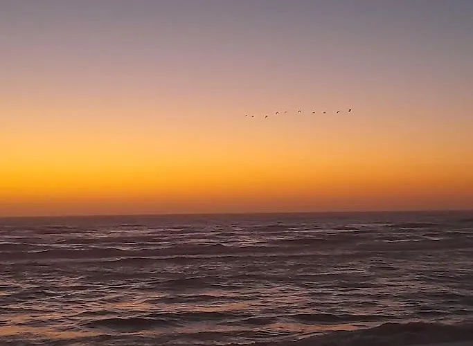 Lejlighed Casa Dos Peixes, Um Refugio A Beira Mar *