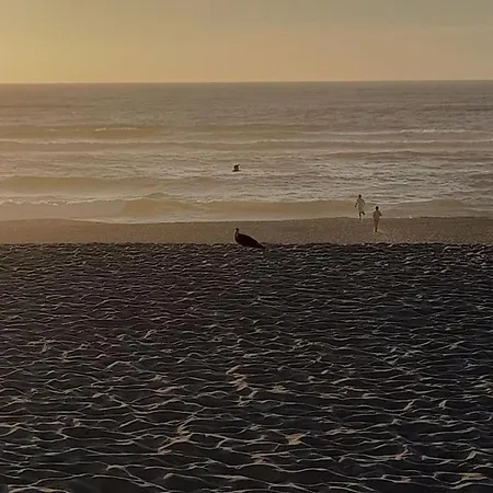 Casa Dos Peixes, Um Refugio A Beira Mar